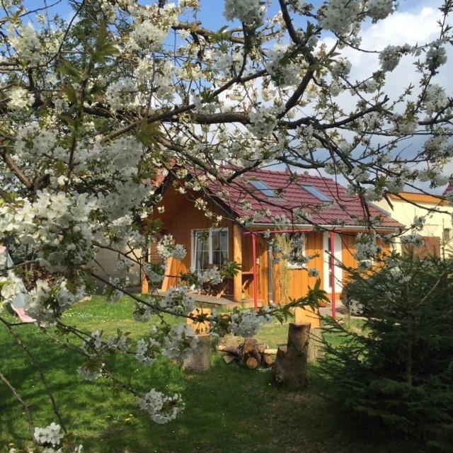 Ferienwohnung Niesky Oda fotoğraf